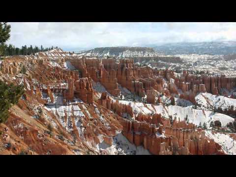 grand national results