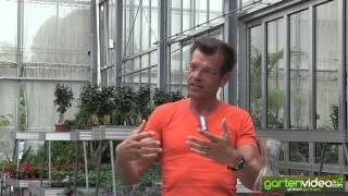 Karl Ploberger über Samenproduktion im Hausgarten 