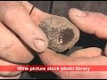 [E,F] Truffle hunting - the black diamond
