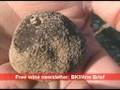 [E,F] Truffle hunting - the black diamond