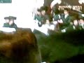 Hoshane Rabe Zali Satmar 5769 (2009) Hoshane Rabe Zali Satmar 5769 (2009)