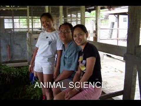 leyte tour