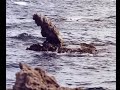 Visualització de la Roca del Frare