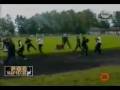 Hooligans   Rissa organizzata Skinheads Vs  Redskins