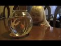 Alleke meets her goldfish Alleke meets her goldfish
