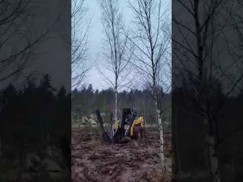 Посадка березы (зима 2019г.)  пересадчиком деревьев Erskine