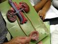 videos de NCC renal 2 lab practical