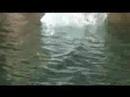 Fontana Lake jumps