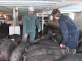 Animal Welfare on the Agenda Animal Welfare on the Agenda