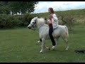 Ride a horse with Jokero!