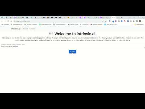 IntrinsicAI Demo