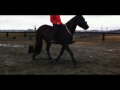 Click here to watch this video Norpan 20120416