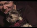 snarling little dog