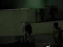 Metal Cavalinho