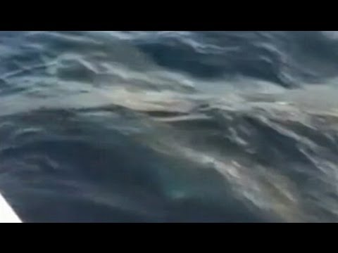 fisherman - Two men fishing off the coast of Florida snagged something so big they thought it was a submarine. For more on this story, click here: http://abcnews.go.com/...