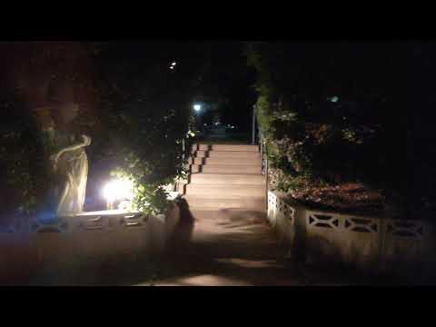 Moto Z4 Sample Video 3