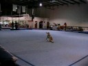 1st level four meet 1st level four meet