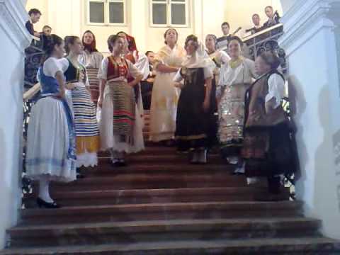 kud svetozar markovic - nisam dugo pivala kroz selo