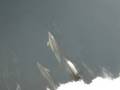 videos de Dolphins
