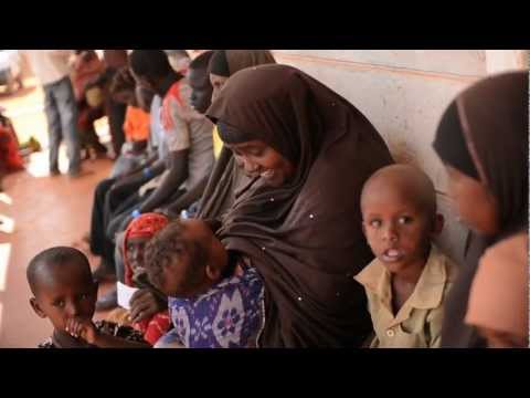 Internews is an international media development organization whose mission is to empower local media