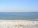 takeoff-and-landing-from-islip-ny-to-ft-myers-fl.html