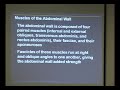 Anatomy 1 F08 WK 4 P11 Intercostal and Abd Muscles