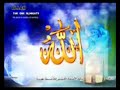 hamare naaz nakhre2(tariq jamil)