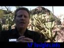 Pete Kramlich from JVC explains 720P and 1080i Pete Kramlich from JVC explains 720P and 1080i