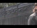 The cramberries DREAM