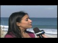 South Florida Living Green Fair - MegaTV