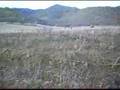 Hunting PPl