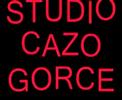 ervin na cidavaman tutar dujto album studio cazo gorce