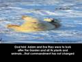 videos de Polar Bears, Eh to Zed 0001