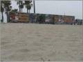 videos de SARS venice beach, california legal graffiti wall