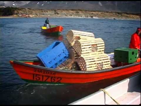 Voir le vidéo
