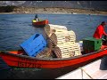 Lobster Fishery in Newfoundland