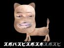 ???????????? ????????????