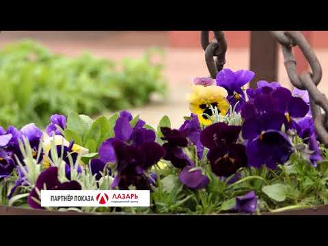 Барановичи день за днем. 30.04.20.