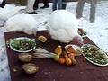 videos de Celebration of Turkeys '08