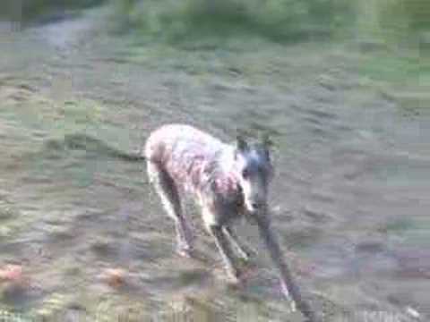Willow Brook Farm Tour with Willow ...