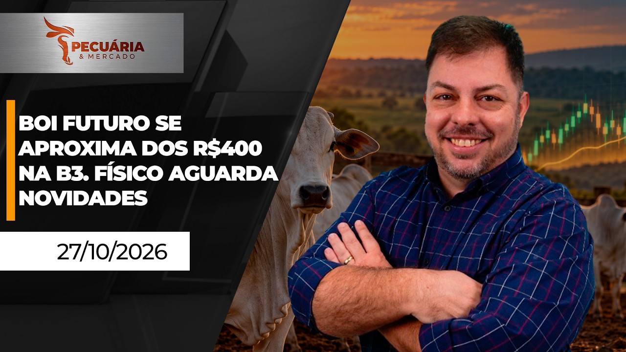 FECHAMENTO DE MERCADO - Boi futuro se aproxima dos R$400 na B3 enquanto físico aguarda novidades