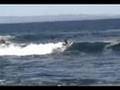 Monterey Surfing + Surprise