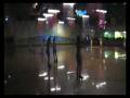 videos de butterflies annual