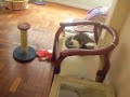 Toca dos Gatinhos - Alguns de nossos gatos (2)