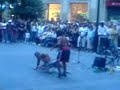 Actuacion Callejera en San Sebastian!!! Actuacion Callejera en San Sebastian!!!