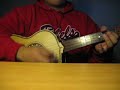 Vihuela (Sol De Mexico) Mi Tierra Jalisciense