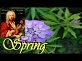 Primavera, esencia de Libertad. por Juan Goñi. Primavera, esencia de Libertad. por Juan Goñi.