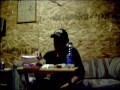 Mcdonalds Chicken Mcnugget Eating 74 (McChallenge 2)