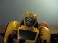 Animated Bumblebee