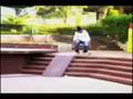 L.P Aladin ZNC-Evoluçao natural